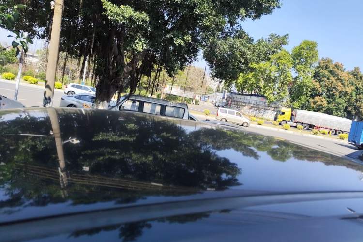 Used Lexus NX 2015 200 Front-Wheel Drive X-Trail SE Edition