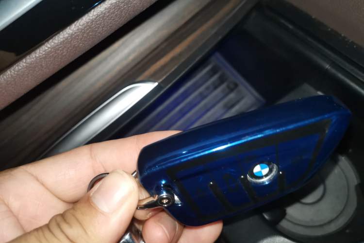 Used BMW 5 Series New Energy 2019 530Le Luxury Package
