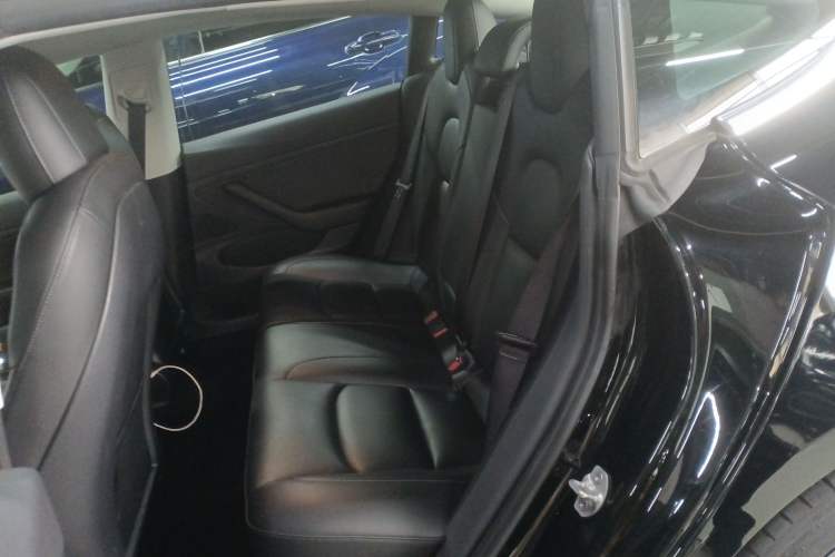 Used Tesla Model 3 2020 Standard Range Rear-Wheel Drive Upgraded Version
