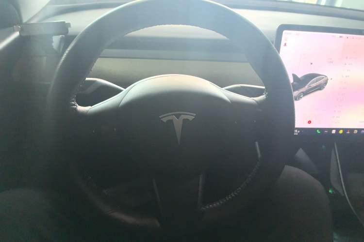 Used Tesla Model 3 2020 Standard Range Rear-Wheel Drive Upgraded Version