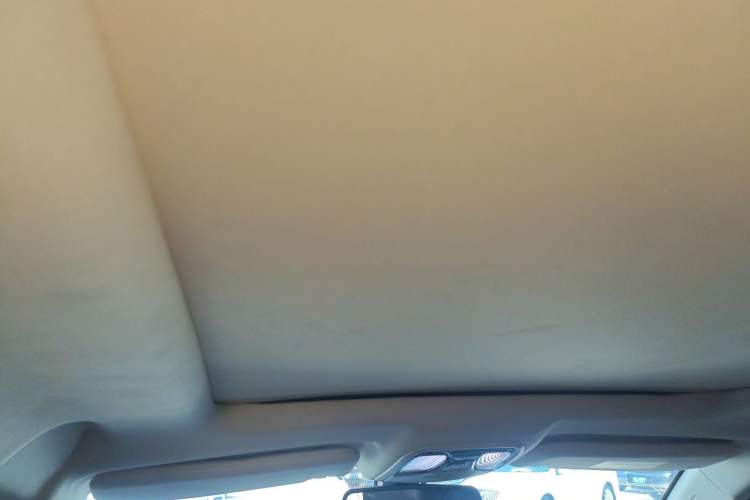 Used Leopaard Mattu 2018 1.6T GDI DCT Prestige Model Headliner