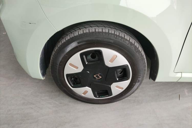 Used SOL E10X 2022 Flower Fairy Design Four-Leaf Clover
