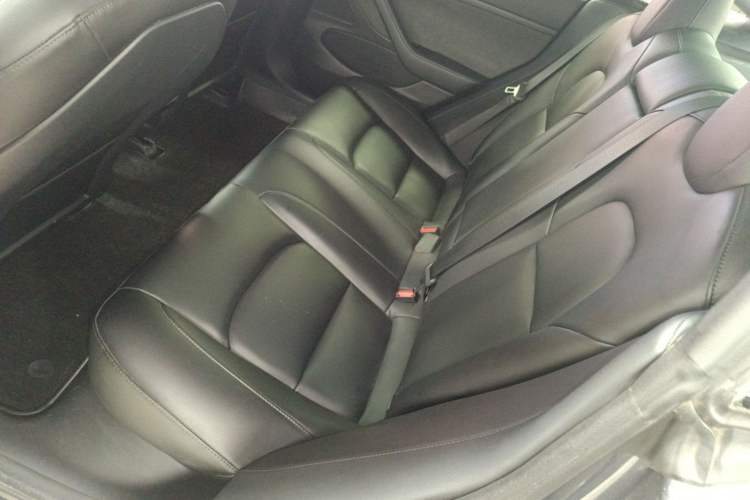 Used Tesla Model 3 2019 Standard Range Rear-Drive Upgraded Version Left Rear Seat