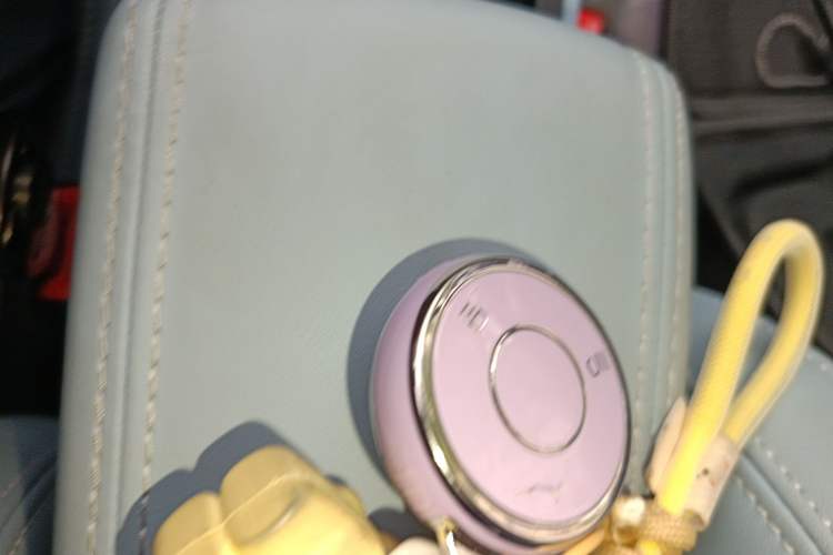 Used NETA AYA 2023 401 Lite Vehicle Key