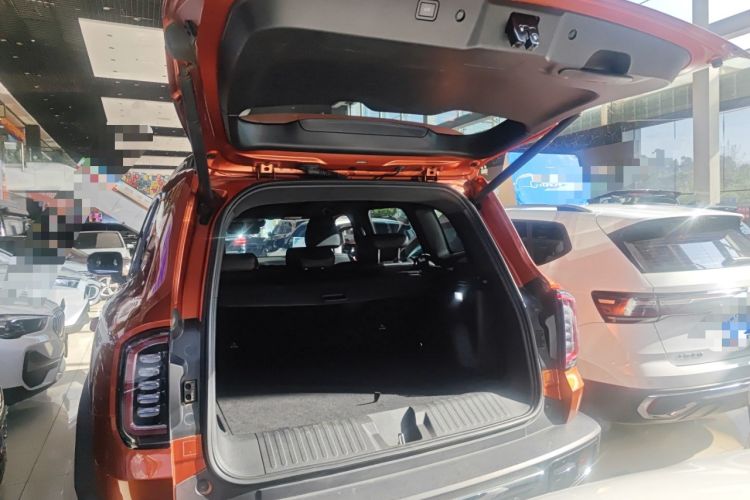 Used Haval DARGO 2021 2.0T DCT 4x4 Chinese Rural Dog Edition