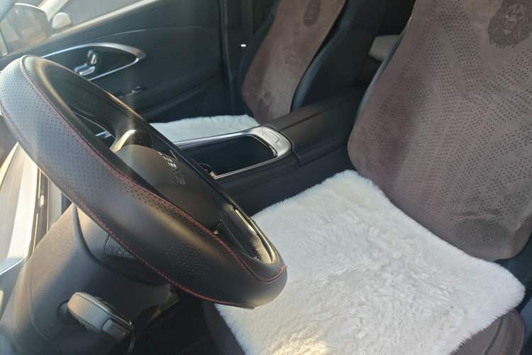 Used EXEED Lingyun 2024 300T Two-Wheel Drive Starlight Edition Left Front Seat