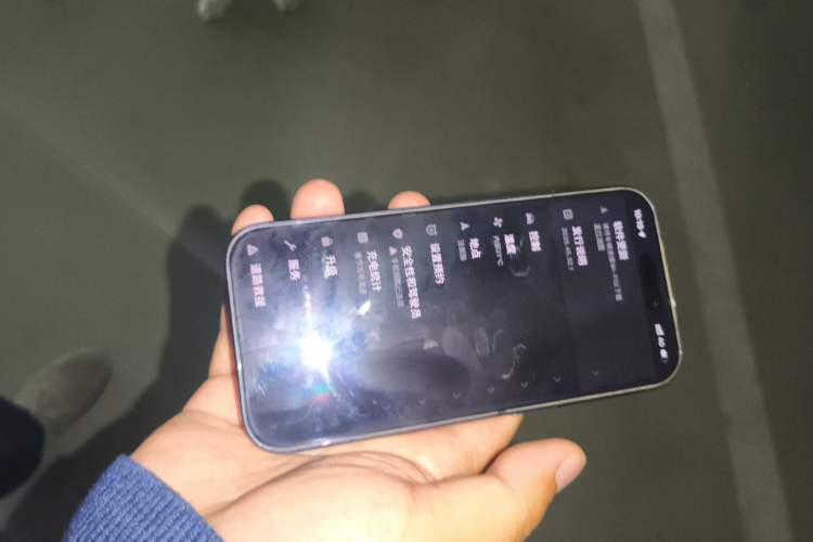 Used Tesla Model 3 2020 Standard Range Rear-Wheel Drive Upgraded Version Vehicle Key