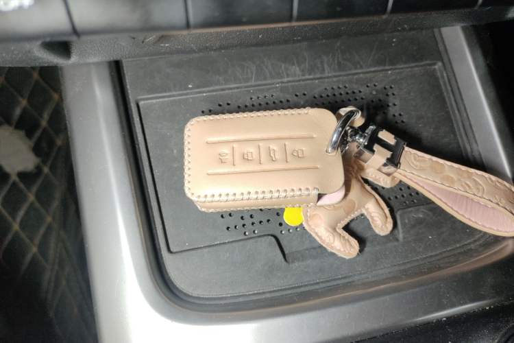 Used Tank 300 2024 2.0T Conqueror
