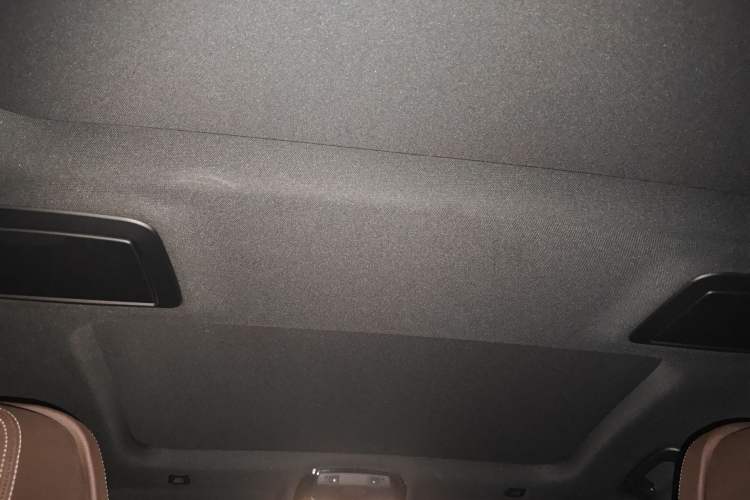 Used BMW 5 Series 2021 530Li Luxury Edition M Sport Package Headliner