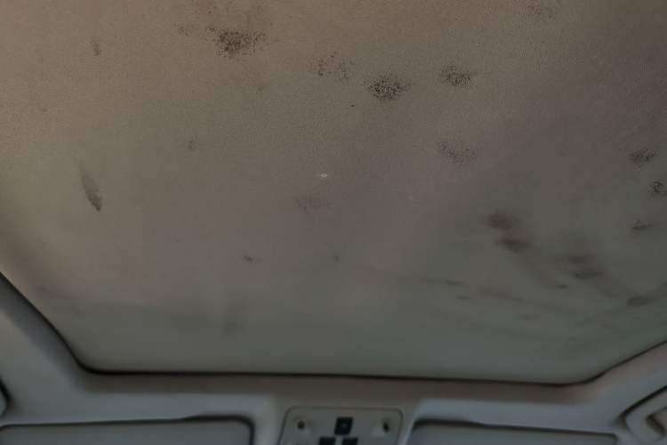 Used Cadillac SRX 2013 3.0L Leading Model Headliner