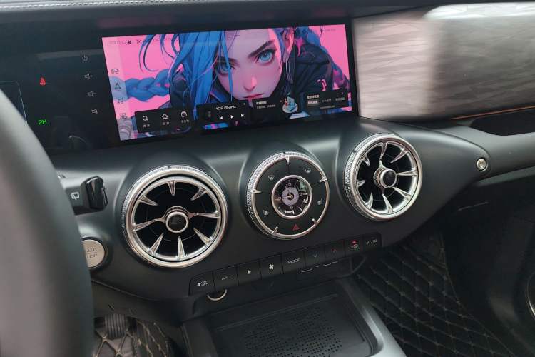 Used Tank 300 2024 2.0T Conqueror
