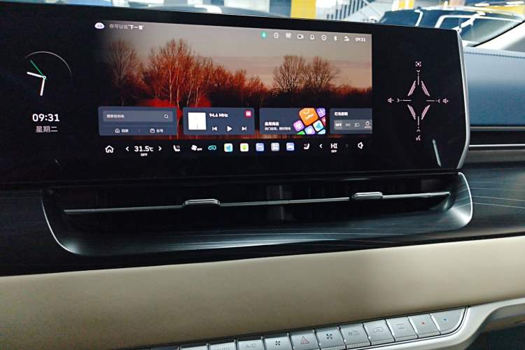 Used Wey Gaoshan 2023 Four-Wheel-Drive Executive Extended Version Audio And AC Panel