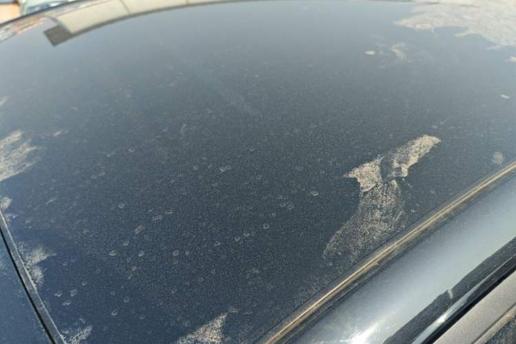 Used BYD Dolphin 2023 420 km Fashion Edition