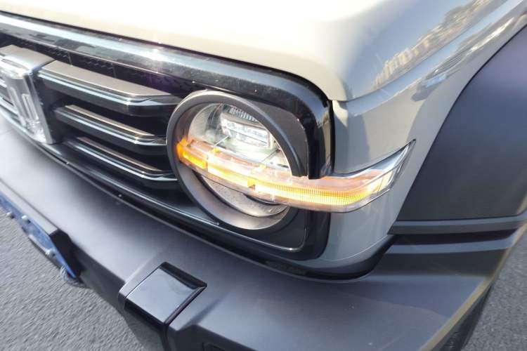 Used Tank 300 2024 2.0T Conqueror