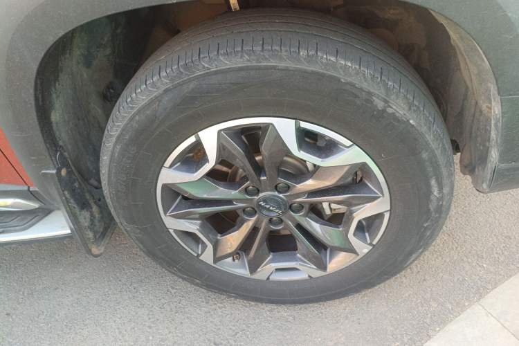 Used Haval DARGO 2021 2.0T DCT 4x4 Chinese Rural Dog Edition