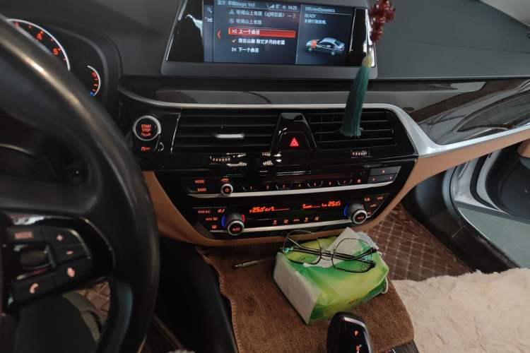 Used BMW 5 Series 2018 528Li Launch Special Edition
