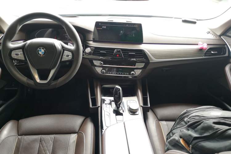 Used BMW 5 Series 2020 530Li Luxury Edition Premium Package