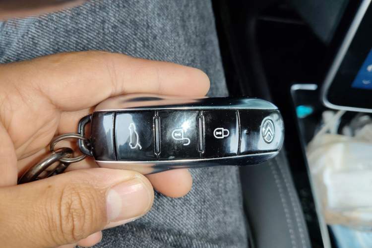 Used SERES SF5 2020 Two-Wheel Drive High-Performance Sports Edition
