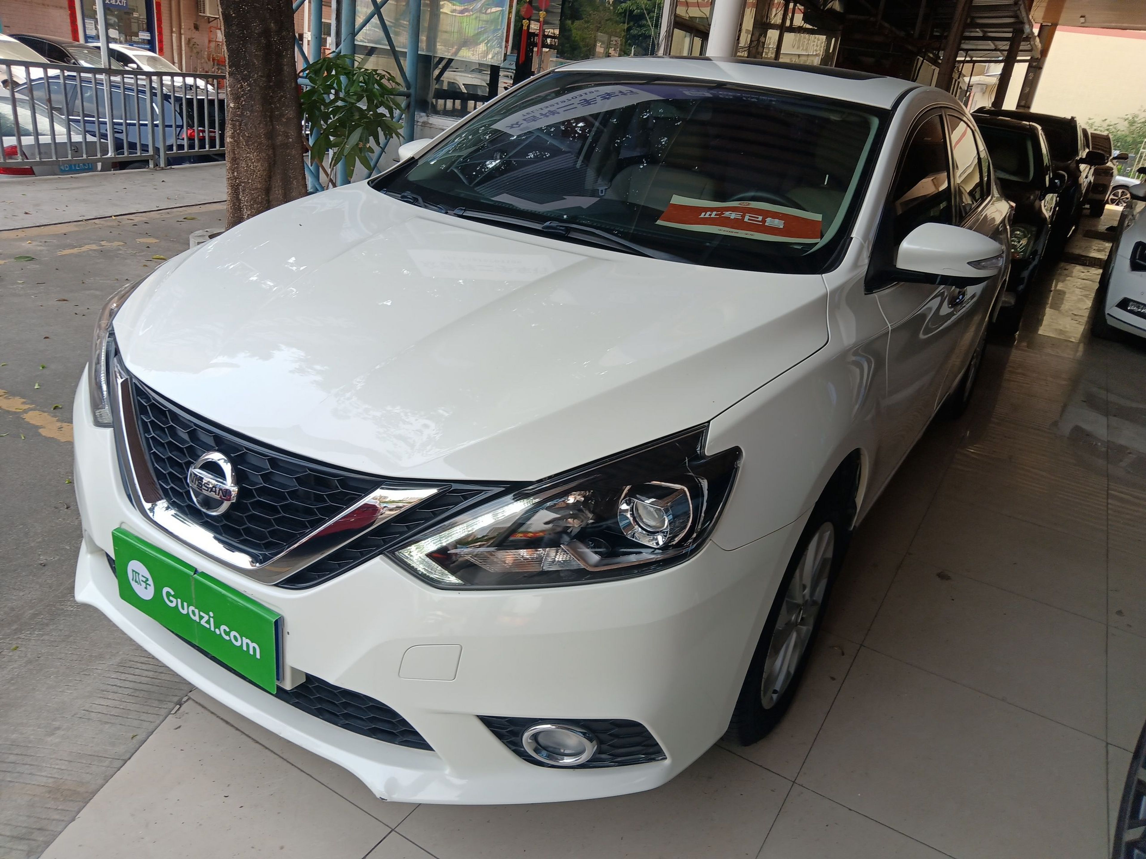 تحت مقدمة السيارة