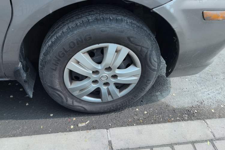 Used FORTHING Lingzhi 
