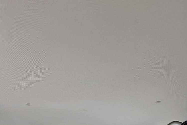 Used Geometry EX3 Kung Fu Cow 2021 Tough Bull Cow