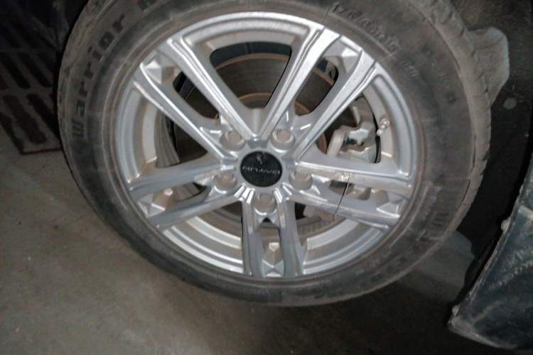 Used Dayun Yuehu 2022 30.66 kWh Two-Wheel Drive Standard Version
