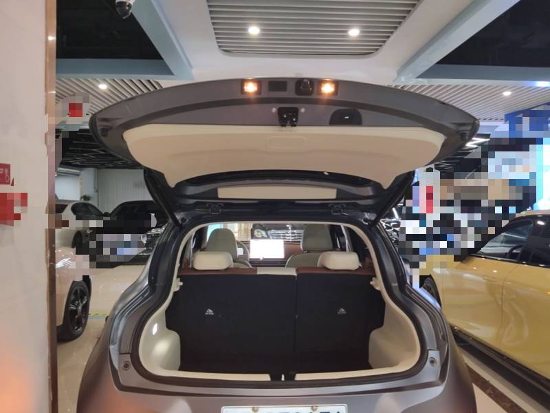 Used ORA Good Cat 2025 Model, 430 km Prestige Version — 18