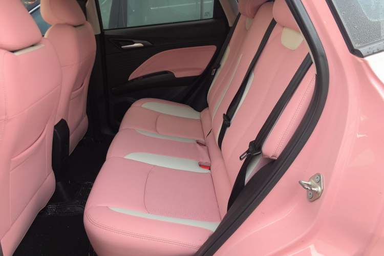 Used NETA V 2021 Witch Edition