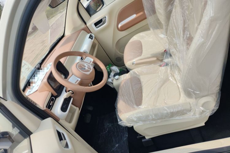 Used Wuling Hongguang MINIEV 2024 3rd Generation 215km Youth Edition Left Front Seat