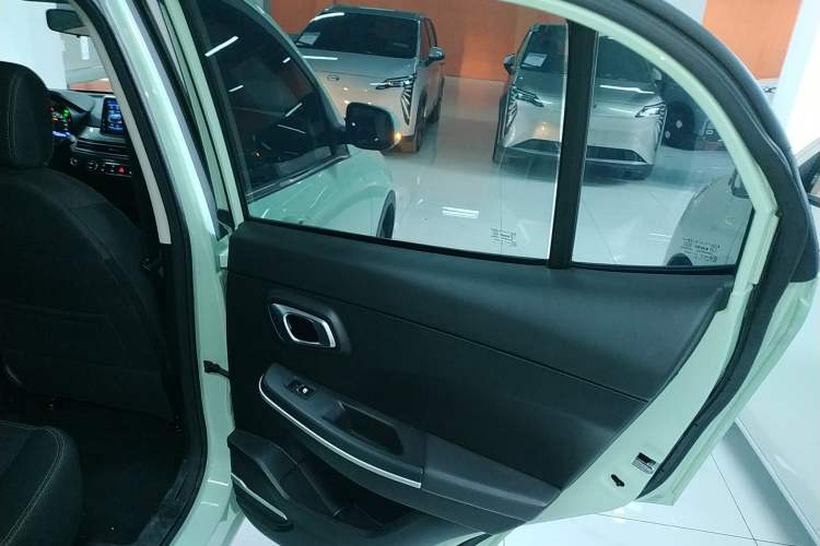 Used Dayun Yuehu 2022 30.66 kWh Two-Wheel Drive Standard Version
