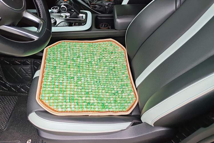 Used Tank 300 2021 City Edition 2.0T—Truly Stylish Left Front Seat