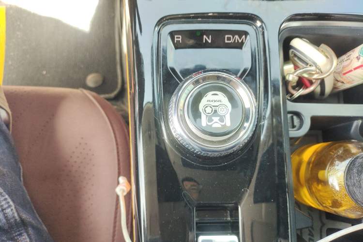 Used Haval DARGO 2021 1.5T DCT Two-Wheel Drive Border Collie - Wangcai Edition
