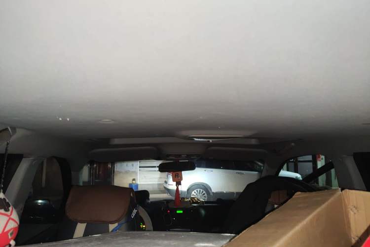 Used Kia Sportage 2009 2.0L Automatic 2WD GL Trim Headliner