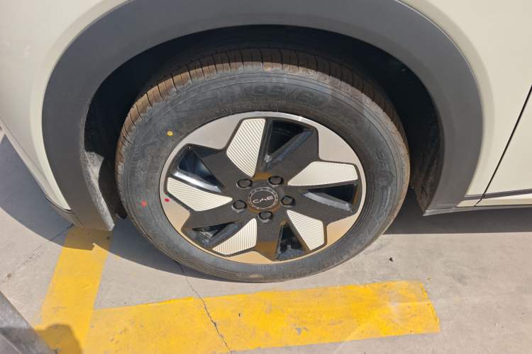 Used BYD Dolphin 2025 420km Free Edition Left Front Wheel Hub