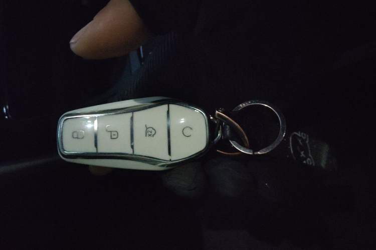 Used BYD Qin PLUS 2024 HONOR Edition DM-i 55KM Leading Model
