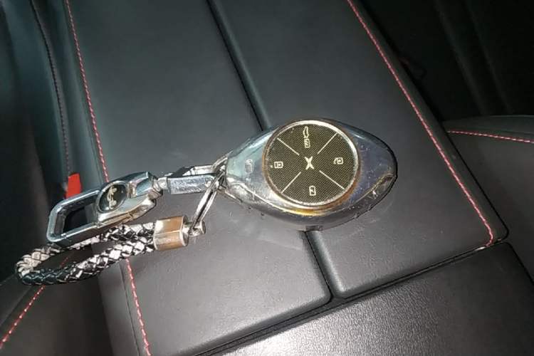 Used XPeng P7 2021 670G
