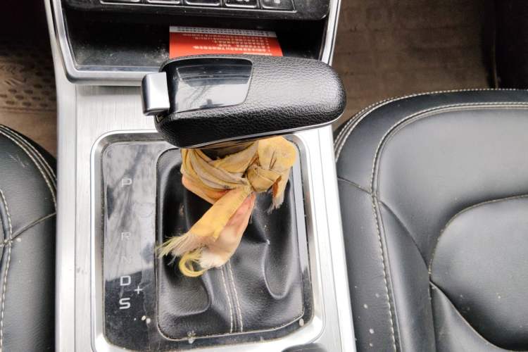 Used Bestune X40 2018 Internet Celebrity Edition 1.6L Automatic Luxury Version Gear Lever