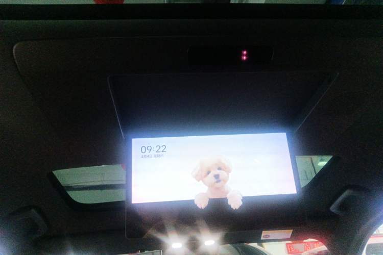 Used Li Auto L9 2022 Max model