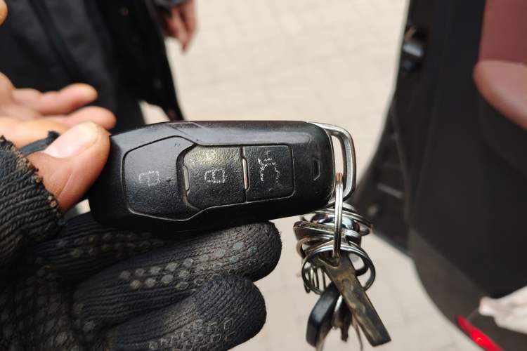 Used Foday Landfort 2018 1.9T Diesel Automatic 2WD Flagship 7-Seater
