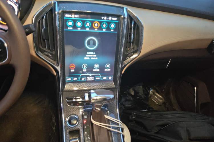 Used Leopaard CS9 2018 1.5T CVT Jingrui Model
