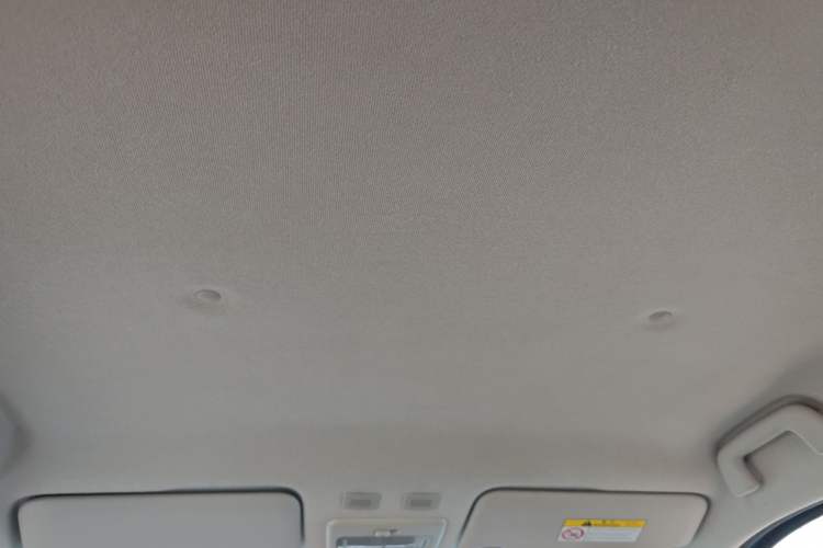 Used ORA Black Cat 2019 351 km Lingzhi Edition