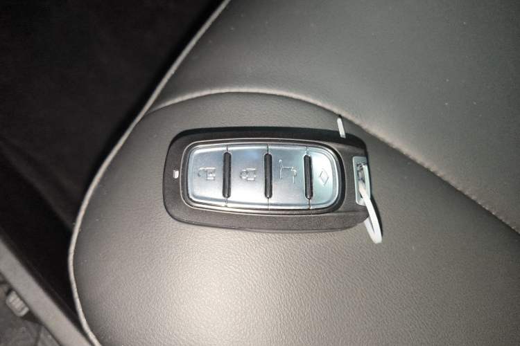 Used Geometry E Firefly 2022 401 km Linglong Tiger 4 Seats