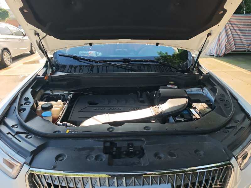 Used Haval H6 2021 1.5T Automatic Champion Edition — 16