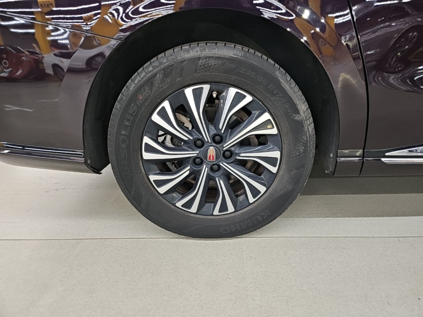 Hongqi HQ9 PHEV 2024 2.0T Four-Wheel Drive Luxury Edition — снимка 11