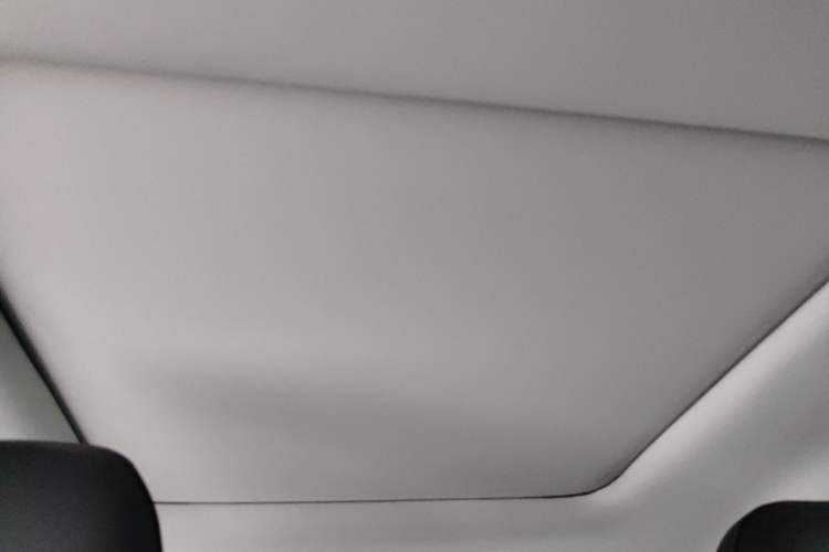 Used Leapmotor T03 2022 YAOJIN Edition Headliner