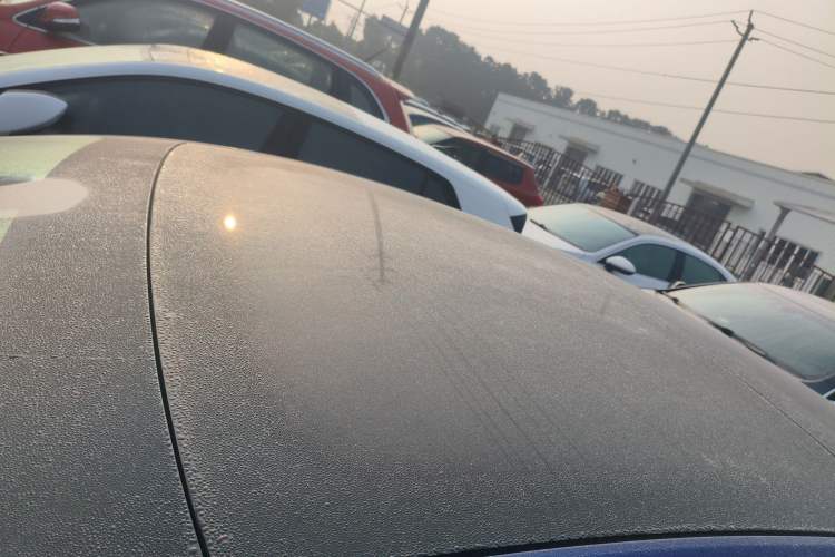 Used Tesla Model 3 (Import) 2019 Long-Range Rear-Wheel-Drive Version