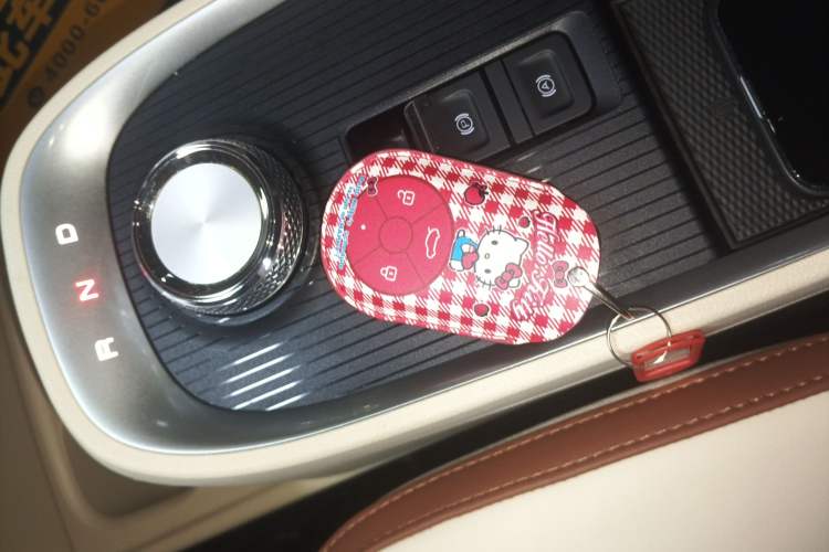 Used ORA Good Cat 2021 400km Standard Range Venus Edition Lithium Iron Phosphate