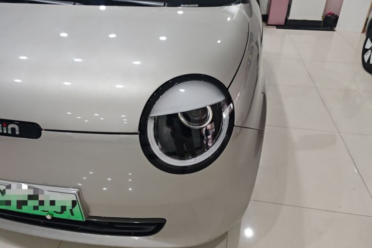 Used Qiyuan Lumin 2023 205km Xiangqin Version
