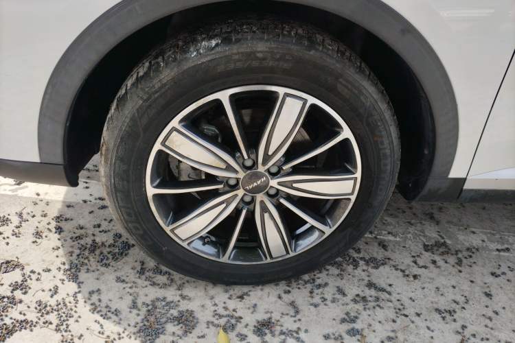 Used Haval H6 2021 1.5T Automatic Champion Edition