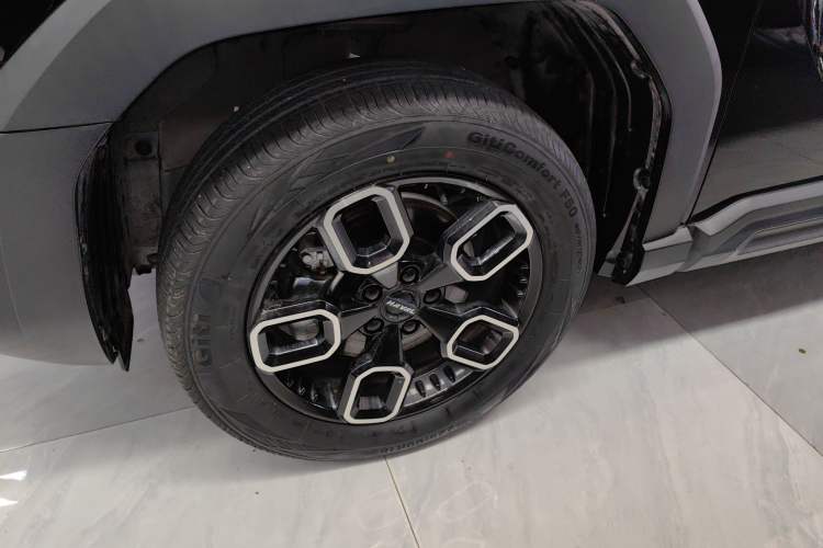 Used Haval X DOG 2022 1.5T DCT Four-Wheel Drive Trendy Wild Edition
